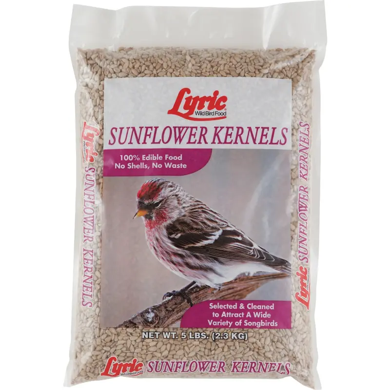 Lyric Sunflower Kernels – 5-Pound Bag Of Roasted & Salted Seeds 1